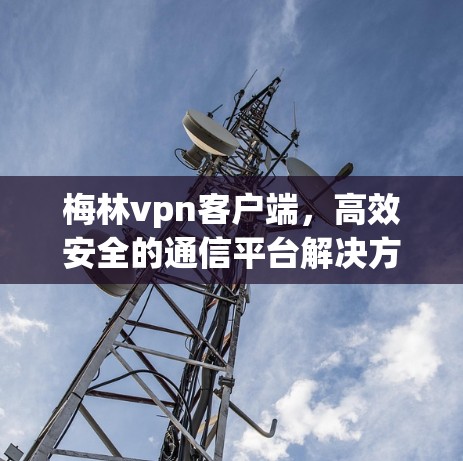 梅林vpn客户端,高效安全的通信平台解决方案 梅林vpn客户端,高效安全的通信平台解决方案