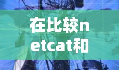 在比较netcat和独享VPN时，以下是对两个工具的详细分析