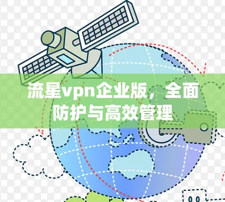 流星vpn企业版,全面防护与高效管理 流星vpn企业版,全面防护与高效管理