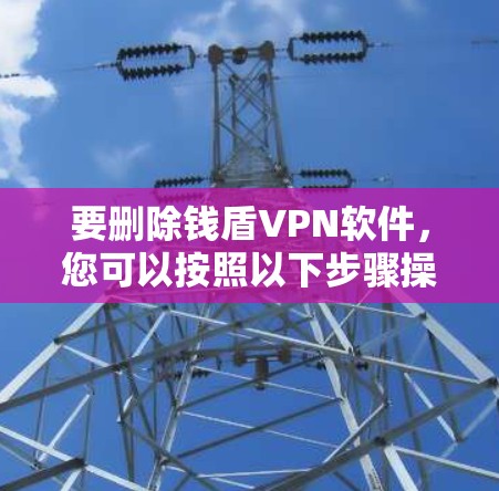 要删除钱盾VPN软件，您可以按照以下步骤操作