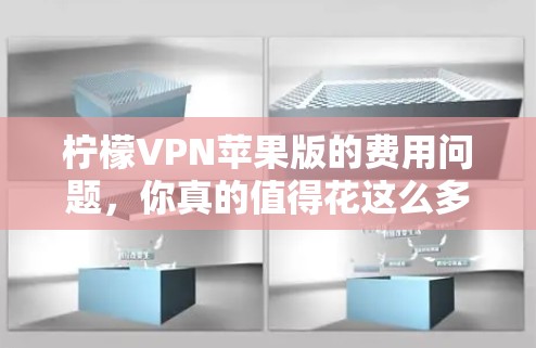 柠檬VPN苹果版的费用问题，你真的值得花这么多钱吗？