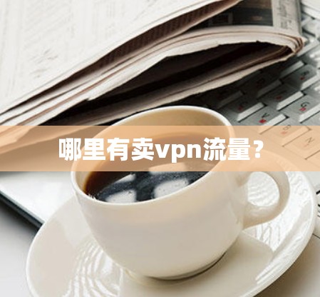 哪里有卖vpn流量？