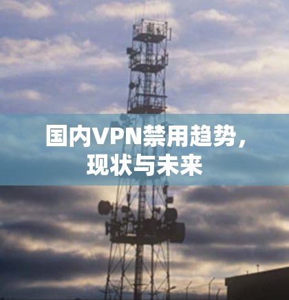 国内VPN禁用趋势,现状与未来 国内VPN禁用趋势,现状与未来