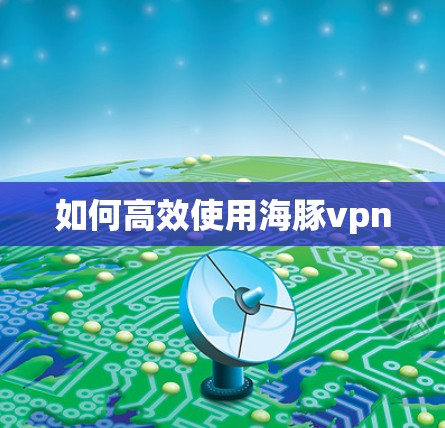 如何高效使用海豚vpn 如何高效使用海豚vpn