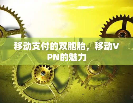 移动支付的双胞胎,移动VPN的魅力 移动支付的双胞胎,移动VPN的魅力
