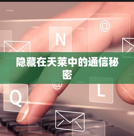 隐藏在天莱中的通信秘密 隐藏在天莱中的通信秘密