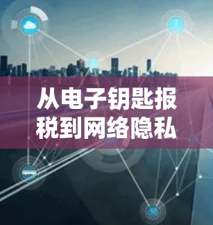 从电子钥匙报税到网络隐私与网络安全，一场无声的战争