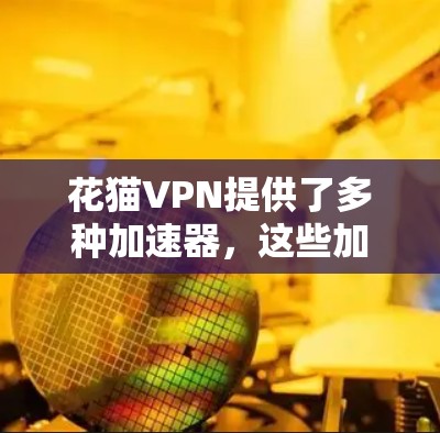花猫VPN提供了多种加速器，这些加速器有助于提升VPN的连接速度和稳定性。以下是关于花猫VPN加速器的详细介绍