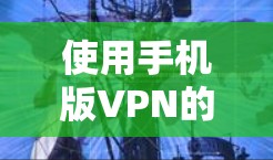 使用手机版VPN的关键在于权衡其功能、性能和安全性需求。以下是详细的使用建议 使用手机版VPN的关键在于权衡其功能、性能和安全性需求。以下是详细的使用建议