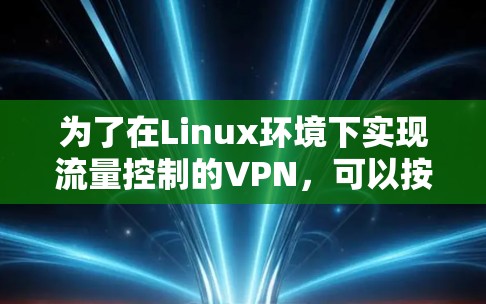 为了在Linux环境下实现流量控制的VPN，可以按照以下步骤进行