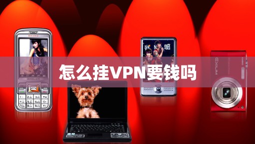 怎么挂VPN要钱吗