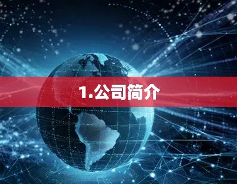 1.公司简介