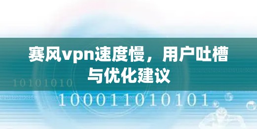 赛风vpn速度慢，用户吐槽与优化建议