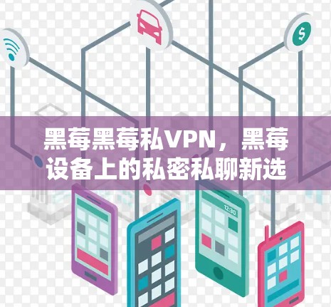 黑莓黑莓私VPN，黑莓设备上的私密私聊新选择