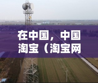 在中国，中国淘宝（淘宝网）确实没有提供VPN服务。中国的网络监管严格，为了防止网络诈骗和网络暴力，中国对VPN服务有严格的监管和禁止销售的规定。因此，淘宝上并没有销售VPN服务的商家