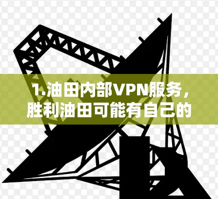1.油田内部VPN服务，胜利油田可能有自己的内部VPN服务或者与外部VPN服务合作，提供内部网络的VPN解决方案