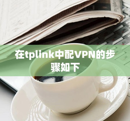 在tplink中配VPN的步骤如下