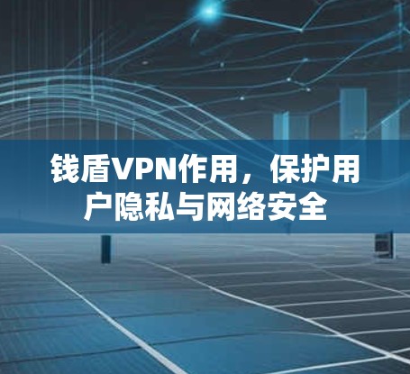 钱盾VPN作用,保护用户隐私与网络安全 钱盾VPN作用,保护用户隐私与网络安全