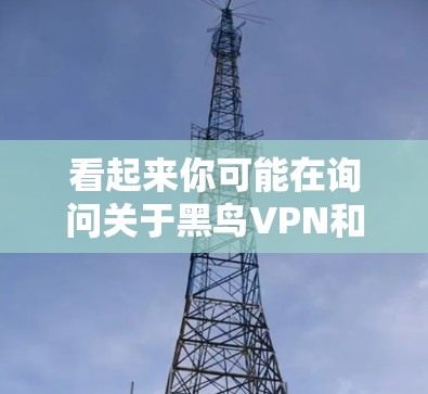看起来你可能在询问关于黑鸟VPN和安卓设备的使用问题。以下是一些可能的解释和建议