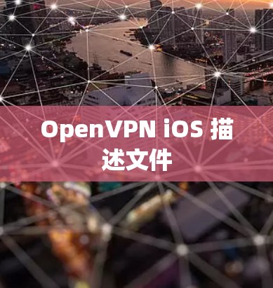 OpenVPN iOS 描述文件