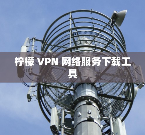 柠檬 VPN 网络服务下载工具 柠檬 VPN 网络服务下载工具