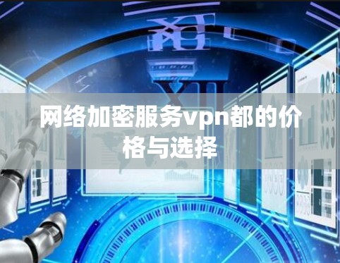 网络加密服务vpn都的价格与选择