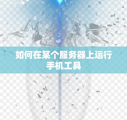如何在某个服务器上运行手机工具