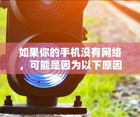 如果你的手机没有网络,可能是因为以下原因导致的 如果你的手机没有网络,可能是因为以下原因导致的