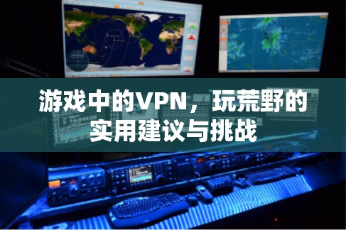 游戏中的VPN，玩荒野的实用建议与挑战