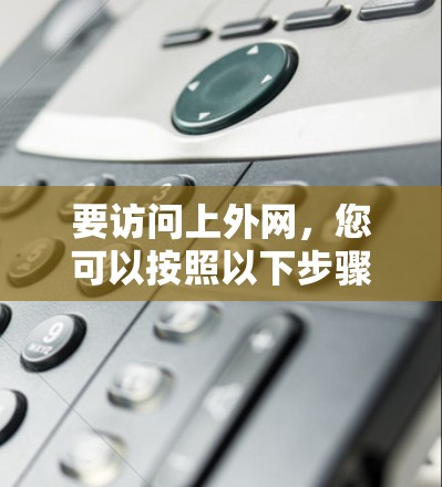 要访问上外网，您可以按照以下步骤操作