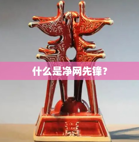 什么是净网先锋? 什么是净网先锋?