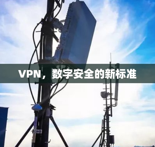 VPN，数字安全的新标准