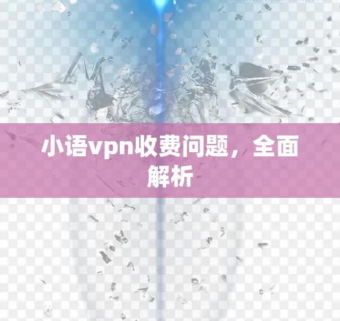 小语vpn收费问题,全面解析 小语vpn收费问题,全面解析