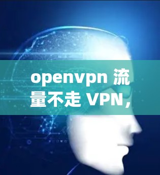 openvpn 流量不走 VPN,如何有效管理流量 openvpn 流量不走 VPN,如何有效管理流量