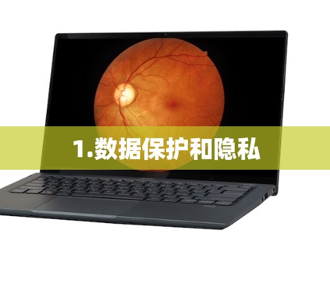 1.数据保护和隐私