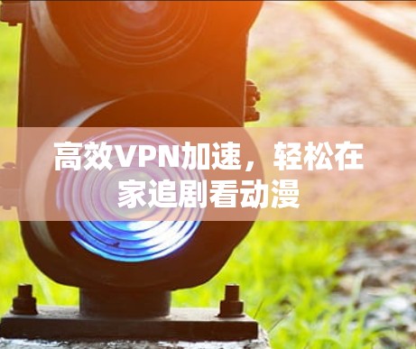 高效VPN加速，轻松在家追剧看动漫