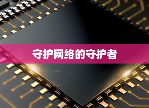 守护网络的守护者