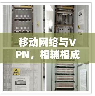 移动网络与VPN,相辅相成的数字生态 移动网络与VPN,相辅相成的数字生态