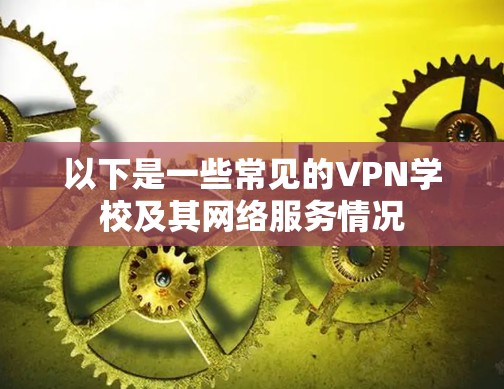 以下是一些常见的VPN学校及其网络服务情况