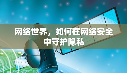 网络世界，如何在网络安全中守护隐私
