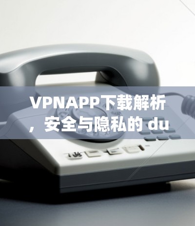 VPNAPP下载解析，安全与隐私的 dual challenge