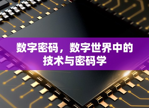 数字密码,数字世界中的技术与密码学 数字密码,数字世界中的技术与密码学