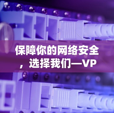 保障你的网络安全，选择我们—VPN网络解决方案