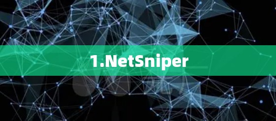 1.NetSniper 1.NetSniper