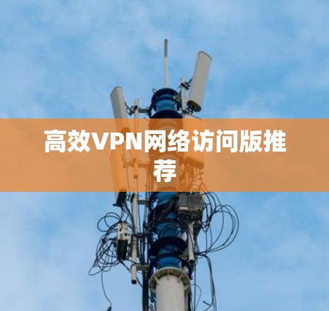 高效VPN网络访问版推荐