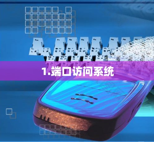 1.端口访问系统