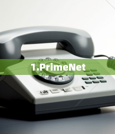 1.PrimeNet 1.PrimeNet