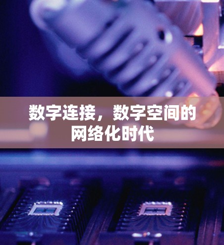 数字连接，数字空间的网络化时代