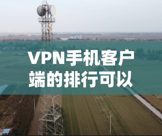 VPN手机客户端的排行可以按照多种因素来排序，包括用户评价、应用评分、使用频率、安全性评分等。以下是对这些因素的分析和推荐