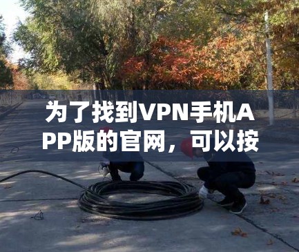 为了找到VPN手机APP版的官网,可以按照以下步骤进行 为了找到VPN手机APP版的官网,可以按照以下步骤进行